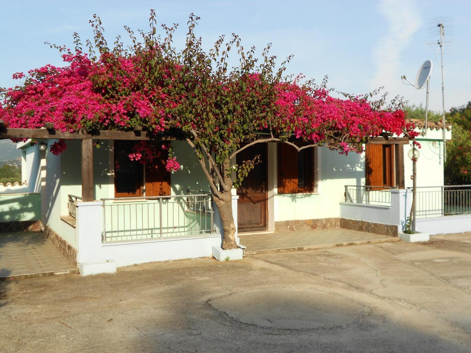 La Corte Degli Ulivi 카데두 외부 사진