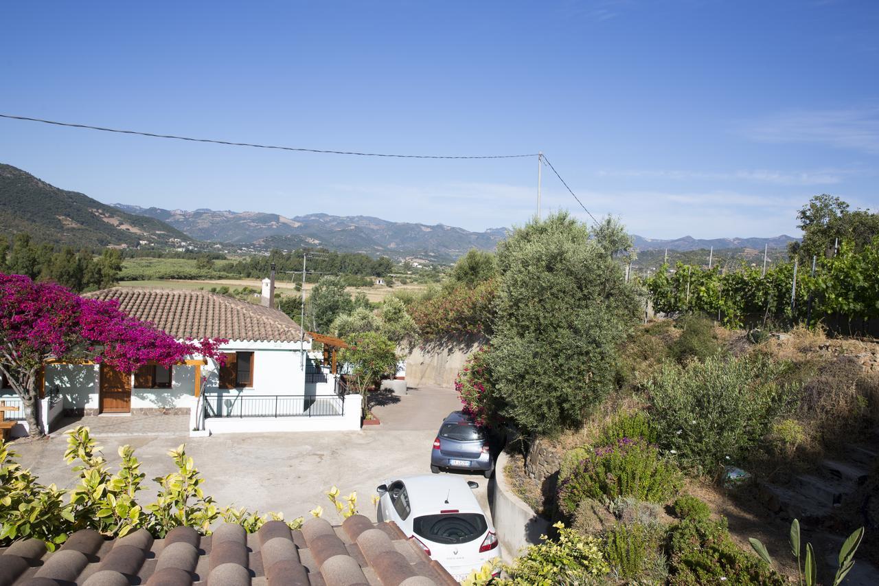La Corte Degli Ulivi 카데두 외부 사진